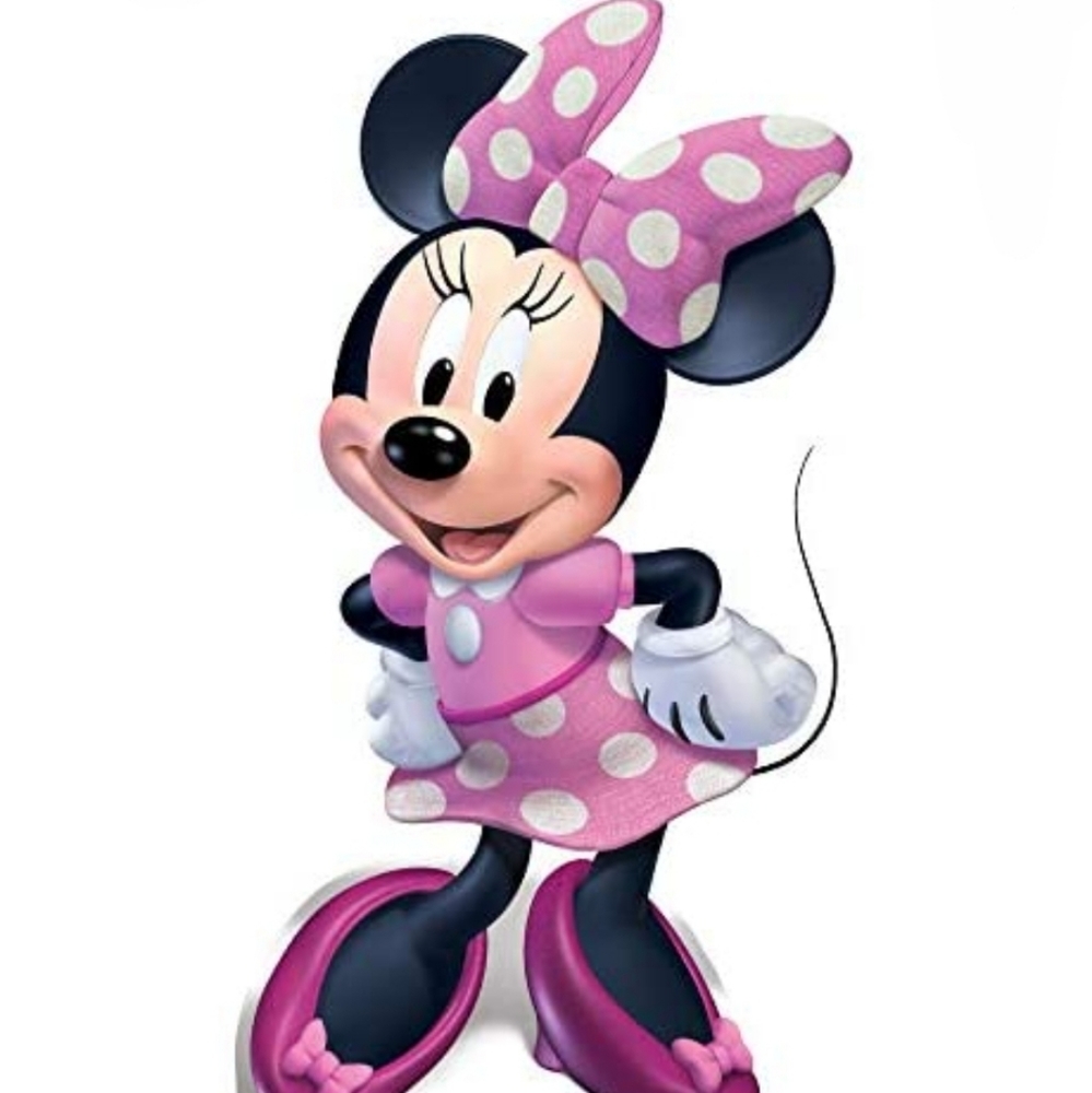DISNEY'S Tie-Dye Minnie Mouse Short Sleeve Top Girl's Size L(10-12) - Picture 6 of 6